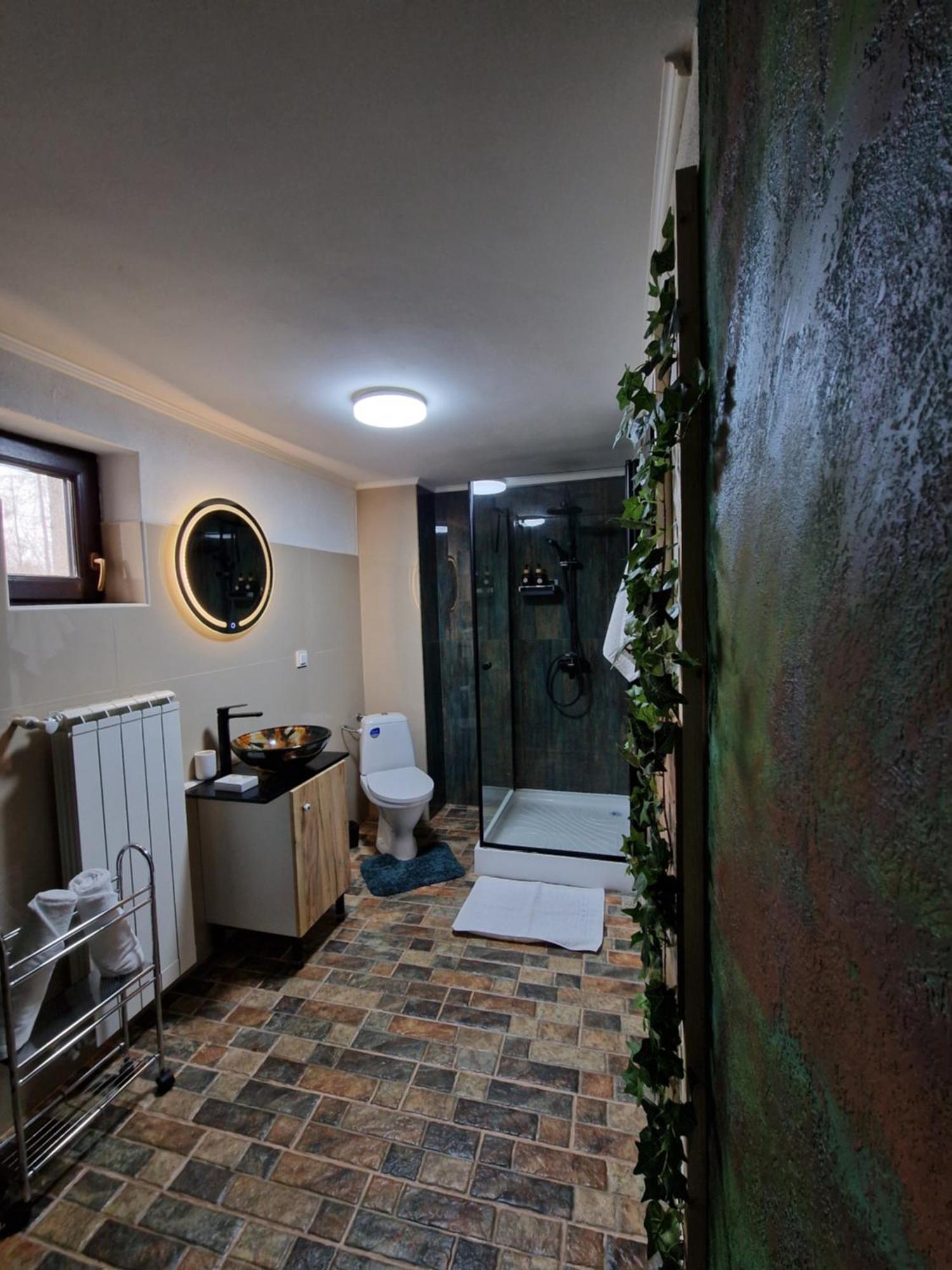 ホテル Cabana Din Padure ポルンバク・デ・スス 部屋 写真